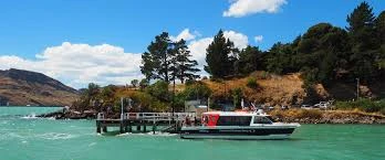 Black cat ferry in front of the diamond Harbour Pier in lyttelton Harbour