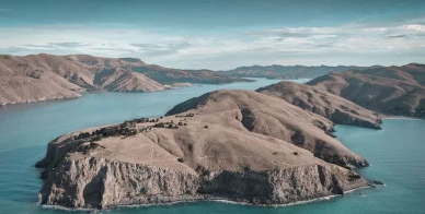 Lyttelton harbour looking from Godley head into the harbour