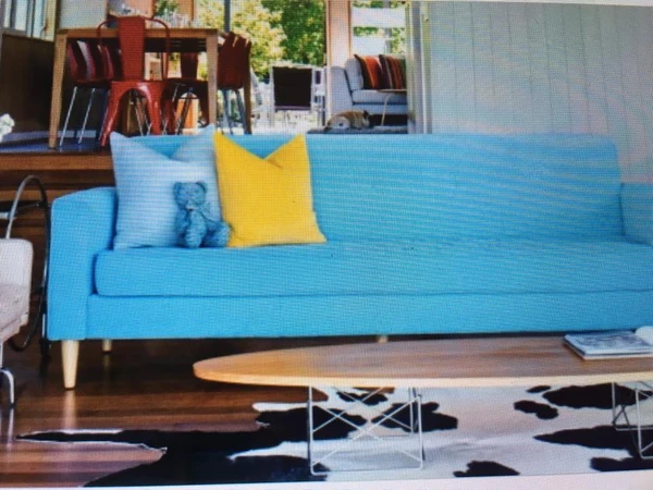 blue sofa in room designed by all good stuff