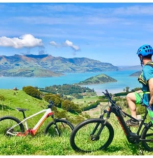 photgraph of cyclists looking over Akaroa Harbour