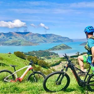 photgraph of cyclists looking over Akaroa Harbour