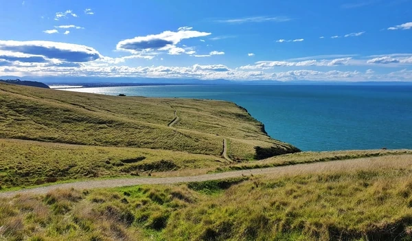 Godley Head View