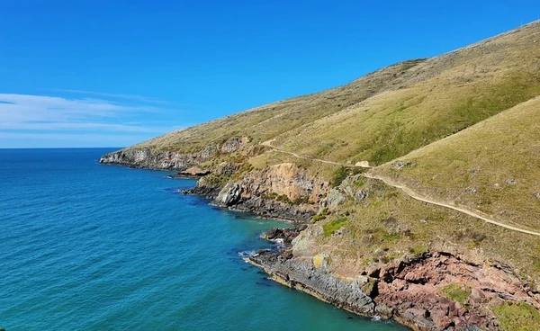 Godley Head coast