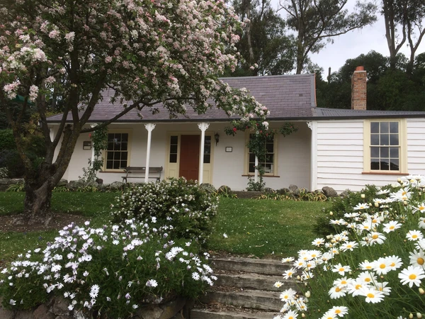 Flowers outside stoddart cottage