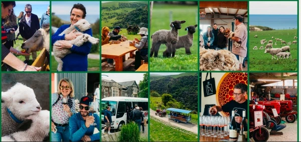 Glenafric Farm Multishot