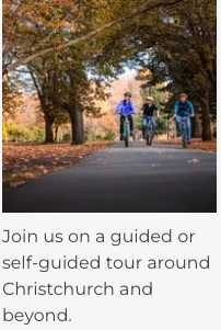 Chillout Bike Tours - Hagley Park