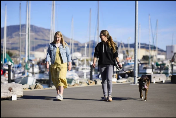 Te Ana Marina dog walking