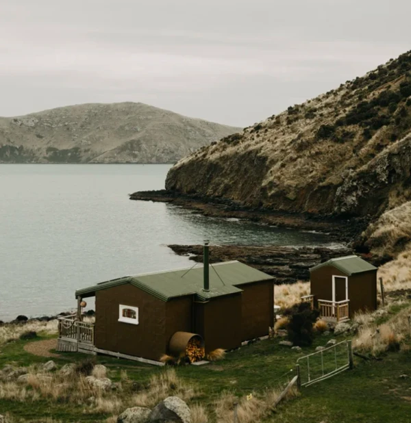 Bearded Poet - external view from back