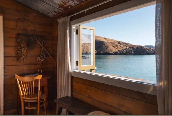 Bearded Poet - view from bedroom