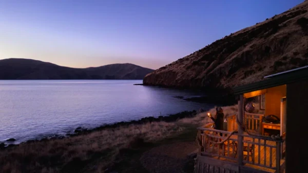 Bearded Poet - night time