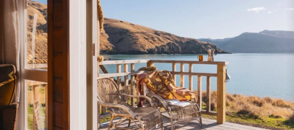 Bearded Poet - front deck