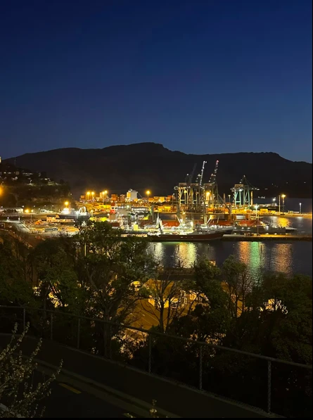 Paton Place - night view