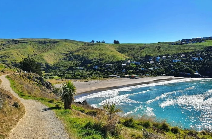 Taylors Mistake on Godley Head walk